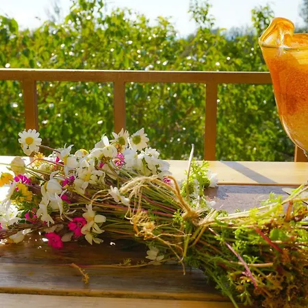 Anio - Rustic Modern With Sea And Mountain View Terrace סבורונטה